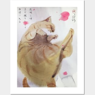 sakura petal  and sleepy cat Posters and Art